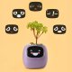 PlantsIO IVY Fioletowa 3