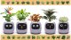 PlantsIO IVY Fioletowa 8