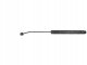Techrebal lanca do sxpw14 - 25 11