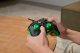 Turtle Beach Rematch Core Wire XB Ghost Camo Black & Green 4