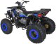 Pojazd Quad Spalinowy 200CC MONSTER Niebieski EDUKAMP 6