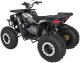Pojazd Quad Spalinowy 200CC MONSTER Czarny EDUKAMP 6
