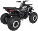 Pojazd Quad Spalinowy 200CC MONSTER Czarny EDUKAMP 8