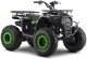 Pojazd Quad Spalinowy 200CC MONSTER Zielony EDUKAMP 1