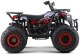 Pojazd Quad Spalinowy 200CC MONSTER Czerwony EDUKAMP 2