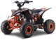 Quad spalinowy 125cc DESERT STORM LIFT  amortyzatory, E-Start, automatyczna skrzynia, prędkość do 60 km/h EDUKAMP 1