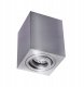 Oprawa nastropowa RUCHOMA Alclara Kwadro SY023/48/01/C aluminium 1