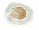 Polishing pad cloth 125 mm 6