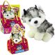 Piesek Husky W Torebce Pluszowy Maskotka Przytulanka Biało Szary 1