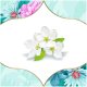 Higieniniai įklotai Discreet Breathable Multiform Spring Breeze, 100 vnt. 15