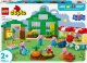 10461 LEGO® DUPLO Senelio Paršos sodas ir šiltnamis 6