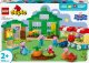 10461 LEGO® DUPLO Senelio Paršos sodas ir šiltnamis 7