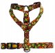 DINGO SZELKI GUARD CITY DUBAJ S 2,0       x 24-45cm 2