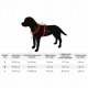 Dingo DINGO SZELKI GUARD CITY DUBAJ L 3,0 x 55-100cm 4