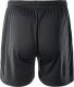 Męskie Spodenki LIBEROS SENIOR SHORTS 3