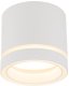 TK Lighting Jet 4334 plafon lampa sufitowa spot 1x10W GX53 biały 2