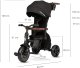 Qplay Comfo Rowerek trójkołowy Max Black 12