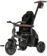 Qplay Comfo Rowerek trójkołowy Max Black 7