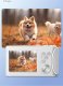 Aparat Cyfrowy Zdjęcia 64MP Filmy 4K / 30fps 18x ZOOM AntiShake / XREC Q18 / Różowy 6