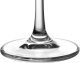 Kieliszek do szampana 210 ml Tori Titanium 3