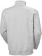 HELLY HANSEN Classic Logo Zip Sweater, grey M 2