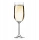 GLASS CHAMPAGNE GEMA 6PCS 3