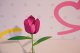 TOY CREATIVE KIT TULIPS 18878 4