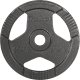 Obciążenie żeliwne olimpijskie zestaw 2x10kg, otwór 51mm, talerz z uchwytami, REBEL ACTIVE 3
