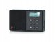 Radio sieciowo-bateryjne DAB+, FM Pinell Supersound Micro 1
