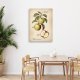 Feeby obraz na płótnie owoce vintage jabłko 40x60 medium 1