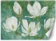 Feeby Fototapeta Kwitnące magnolie abstrakcja 250x175 medium 1
