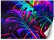Feeby Fototapeta Liście monstery w neonowych barwach 450x315 xxl 1