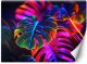 Feeby Fototapeta Monstera fluorescencyjne liście 450x315 xxl 1