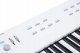 Kurzweil KA-E1 White - Stage Piano 4