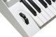 Kurzweil KP110 White - Keyboard 6