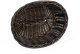 Koszyk owalny z polirattanu 250x190x80 mm, czarnobrązowy | TECHNICA, Gold Line 3