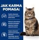 HILL'S PD Prescription Diet Feline Gastrointestinal Biome Stress z kurczakiem 1,5kg 3