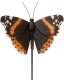 DECOR BUTTERFLY STAKE MIX13X10X78.6CM 1