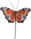 DECOR BUTTERFLY STAKE MIX13X10X78.6CM 2