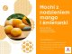 Mochi mango śmietanka podwójne nadzienie japońskie owocowe ciastka ryżowe z mąki kleistej 180g 3