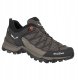 Buty damskie Salewa Mountain Trainer Lite GTX - wallnut/f. coral 1