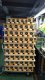 Rosfix Zasilacz laboratoryjny Rosfix AmpRush RARES-3210 32V 10A + Stacja lutownicza 2w1 (Hot-Air i 900M) Rosfix Orange Husky OH660 Seria Electric S 13
