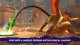Prince of Persia: The Lost Crown Game, Switch 6
