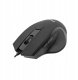 MS Focus C115 Czarna 2