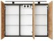 CABINET BATHROOM SV90DL-4 BLACK/GOLD OAK 1