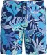 Speedo Męskie Szorty Print Brdshrt 18" ognista czerwień/biały/francuski niebieski rozmiar 36 1