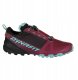Buty Traverse GTX women beet red-black UK 5 (38) 2