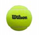 BALLS FOR PADEL PREMIER PADELX3 3