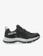 Buty trailowe damskie Dachstein Delta Ascent GTX - black 1