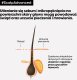 Plaukų šampūnas jautriai galvos odai L'oreal Professionnel Serie Expert Scalp Advanced Anti-Discomfort Dermo-Regulator, 300 ml 5